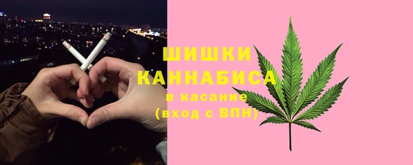 мдпв Гусиноозёрск