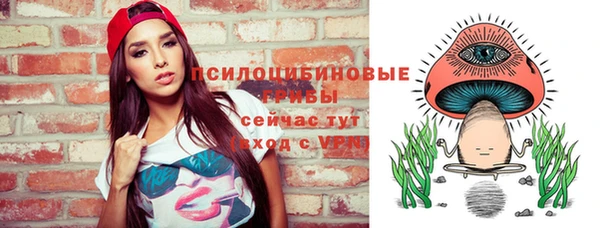 apvp Горнозаводск