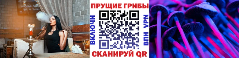 Галлюциногенные грибы Cubensis  Дивногорск 
